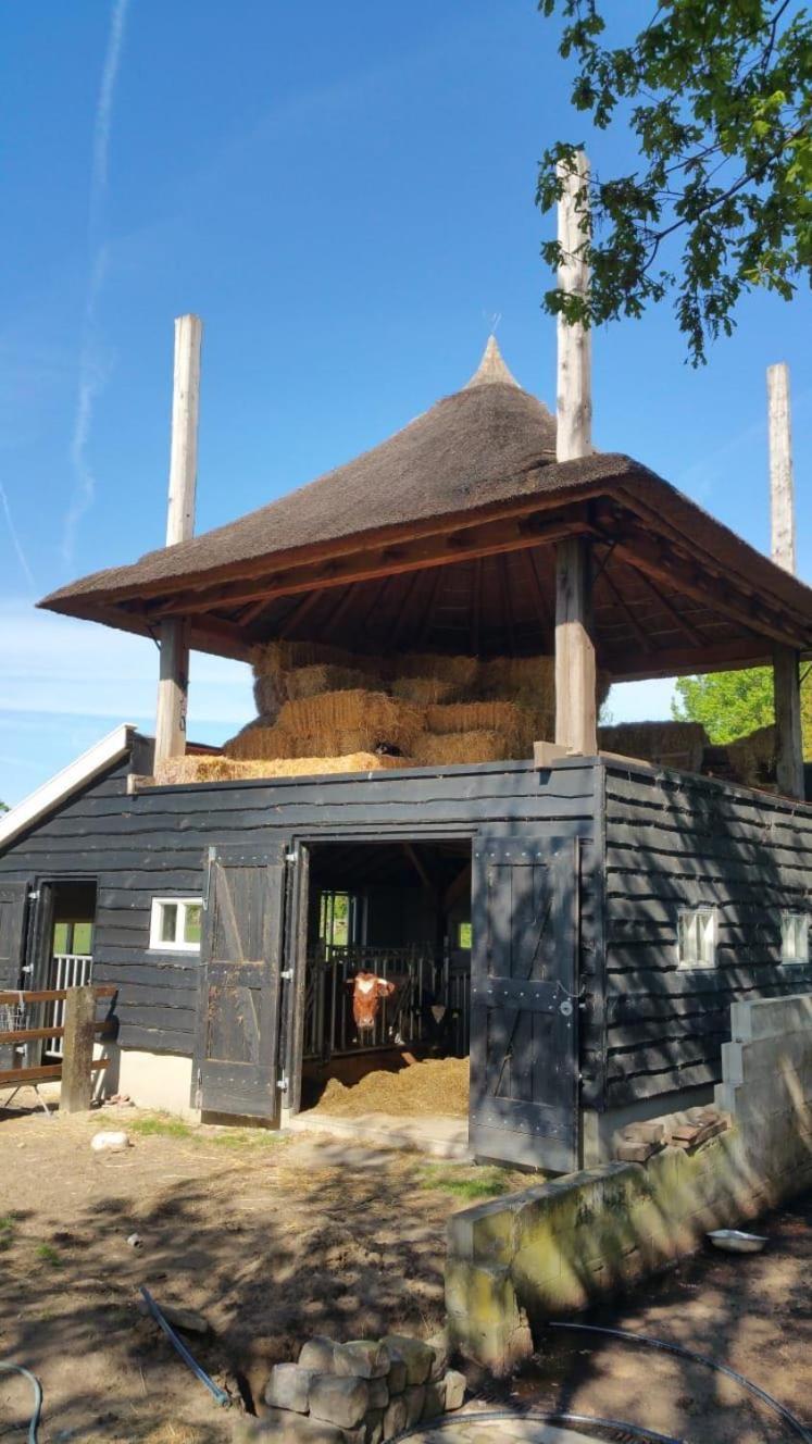 Landgoed Groot Boerle Panzió Wijhe Kültér fotó