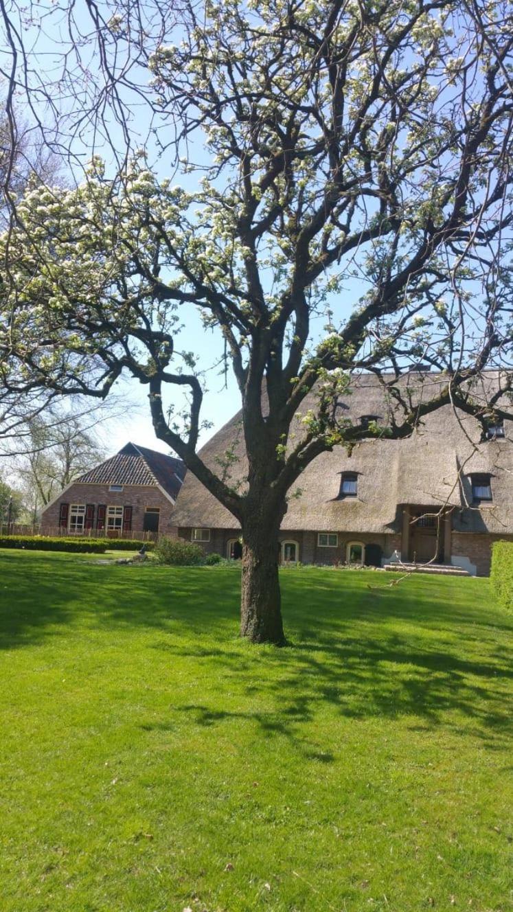 Landgoed Groot Boerle Panzió Wijhe Kültér fotó